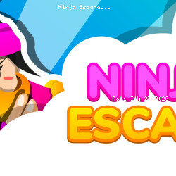 Ninja Escape